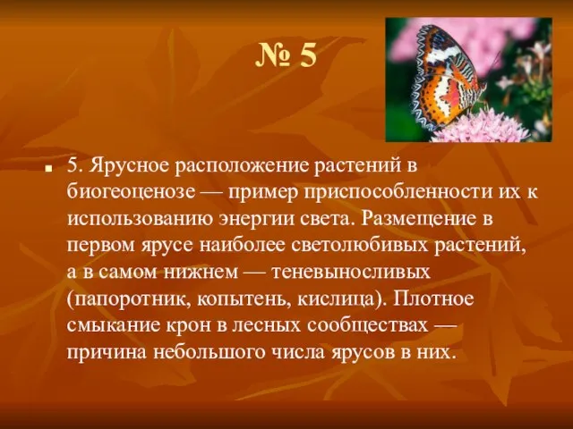 № 5 5. Ярусное расположение растений в биогеоценозе — пример приспособленности