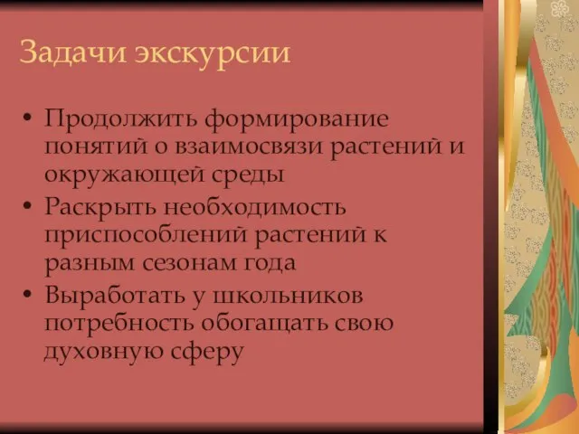 Задачи экскурсии Продолжить формирование понятий о взаимосвязи растений и окружающей среды