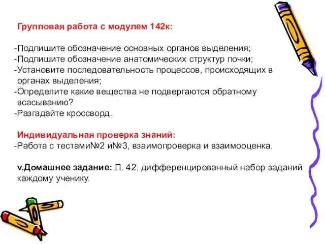 Групповая работа с модулем 142к: Подпишите обозначение основных органов выделения; Подпишите