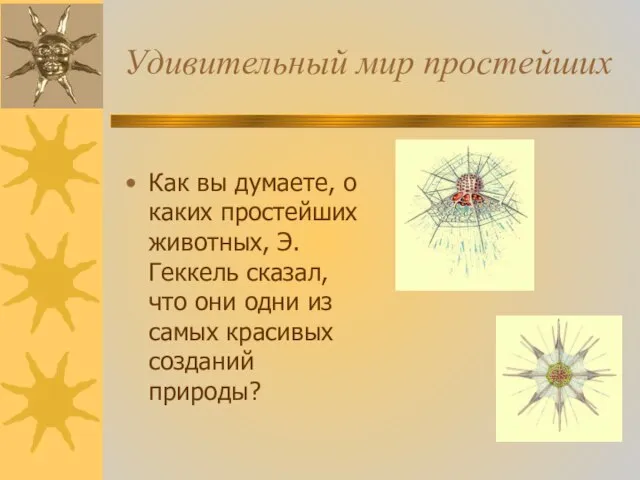 Удивительный мир простейших Как вы думаете, о каких простейших животных, Э.Геккель