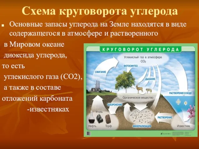 Основные запасы углерода на Земле находятся в виде содержащегося в атмосфере