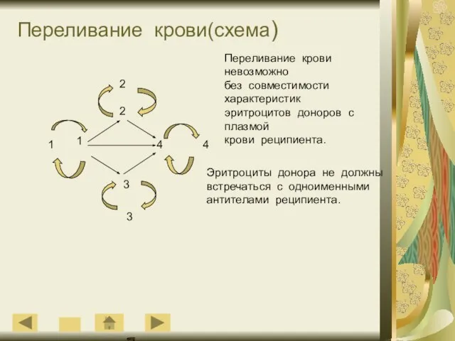 Переливание крови(схема) 2 2 1 4 3 4 1 3 Переливание