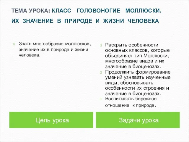 Цель урока Знать многообразие моллюсков, значение их в природе и жизни