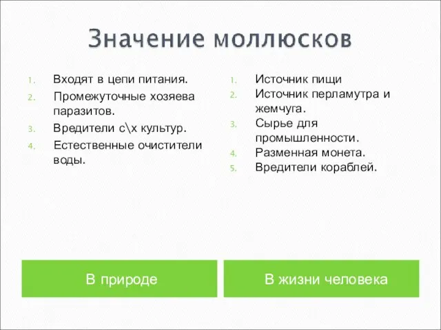 В природе В жизни человека Входят в цепи питания. Промежуточные хозяева