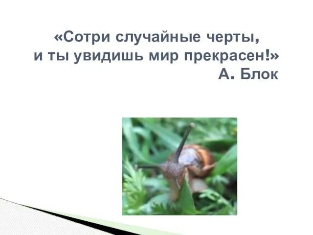 «Сотри случайные черты, и ты увидишь мир прекрасен!» А. Блок