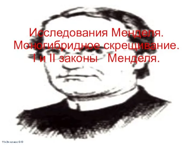 Исследования Менделя. Моногибридное скрещивание. I и II законы Менделя. 11»Э» класс © ®