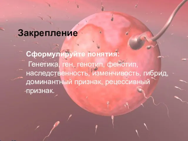 Закрепление Сформулируйте понятия: Генетика, ген, генотип, фенотип, наследственность, изменчивость, гибрид, доминантный