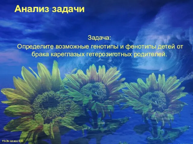 Анализ задачи Задача: Определите возможные генотипы и фенотипы детей от брака