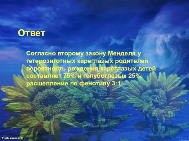 Ответ Согласно второму закону Менделя у гетерозиготных кареглазых родителей вероятность рождения