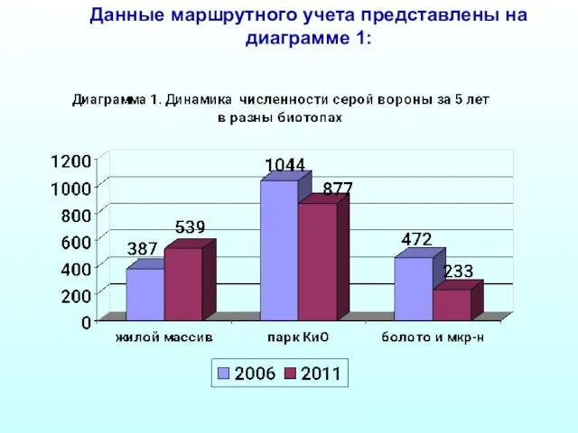 Данные маршрутного учета представлены на диаграмме 1: