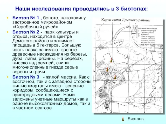 Наши исследования проводились в 3 биотопах: Биотоп № 1 , болото,