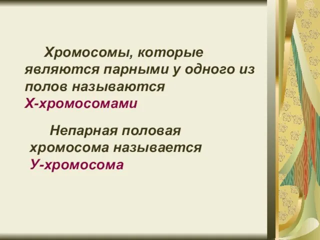 Хромосомы, которые являются парными у одного из полов называются Х-хромосомами Непарная половая хромосома называется У-хромосома