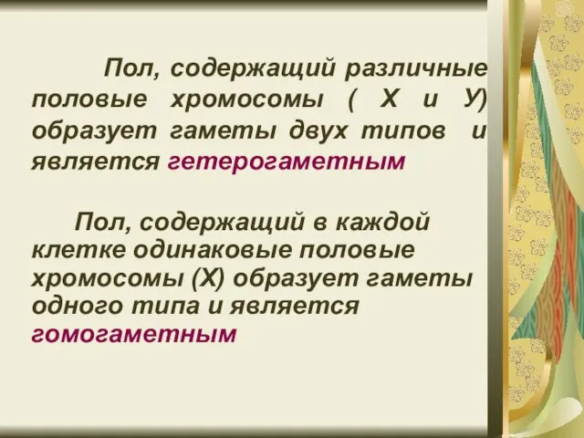 Пол, содержащий различные половые хромосомы ( Х и У) образует гаметы