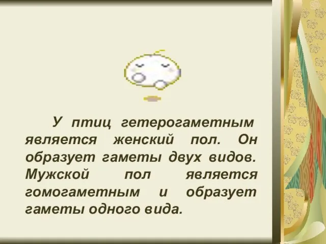 У птиц гетерогаметным является женский пол. Он образует гаметы двух видов.