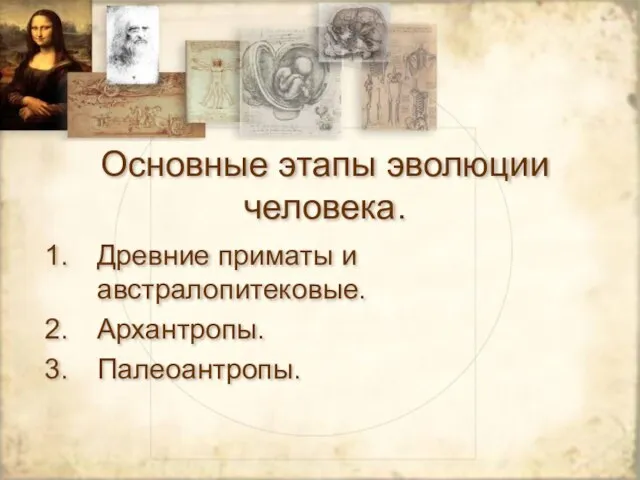 Основные этапы эволюции человека. Древние приматы и австралопитековые. Архантропы. Палеоантропы.