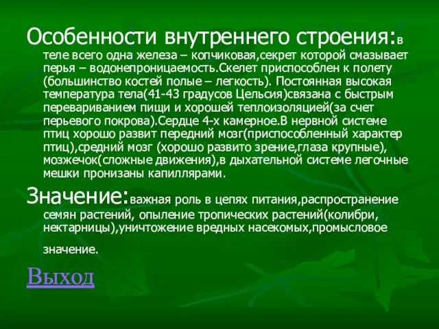 Особенности внутреннего строения:в теле всего одна железа – копчиковая,секрет которой смазывает