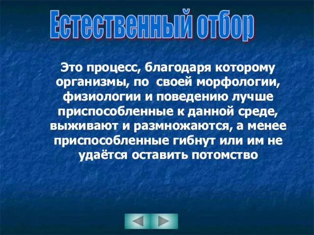 Естественный отбор Это процесс, благодаря которому организмы, по своей морфологии, физиологии