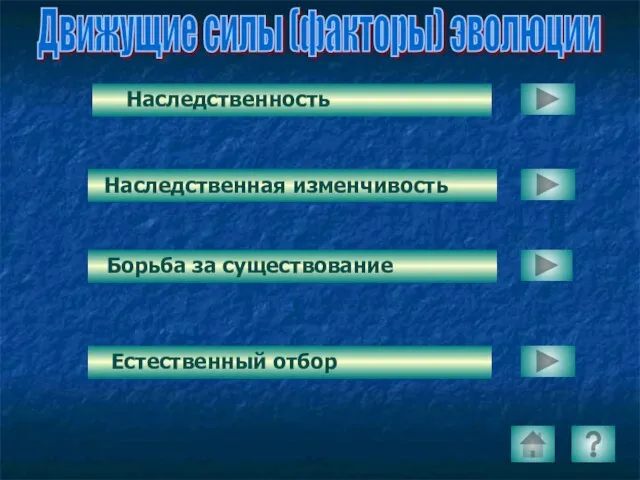 Наследственность Борьба за существование Естественный отбор Движущие силы (факторы) эволюции Наследственная изменчивость