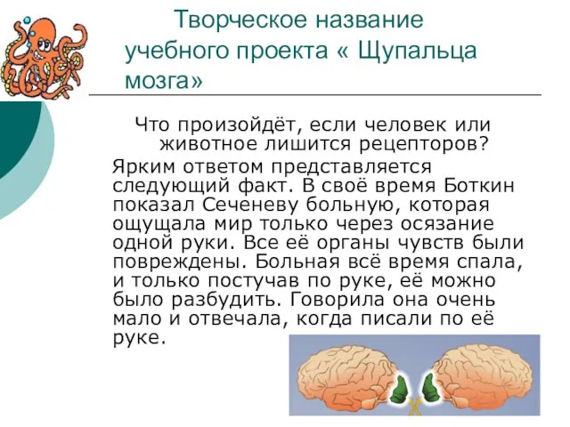 Творческое название учебного проекта « Щупальца мозга» Что произойдёт, если человек