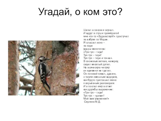 Угадай, о ком это? Шагал я лесом и скучал. И вдруг