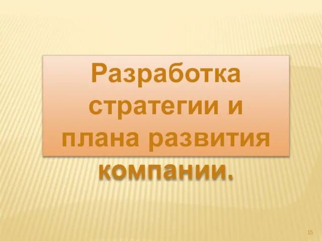 Разработка стратегии и плана развития компании.