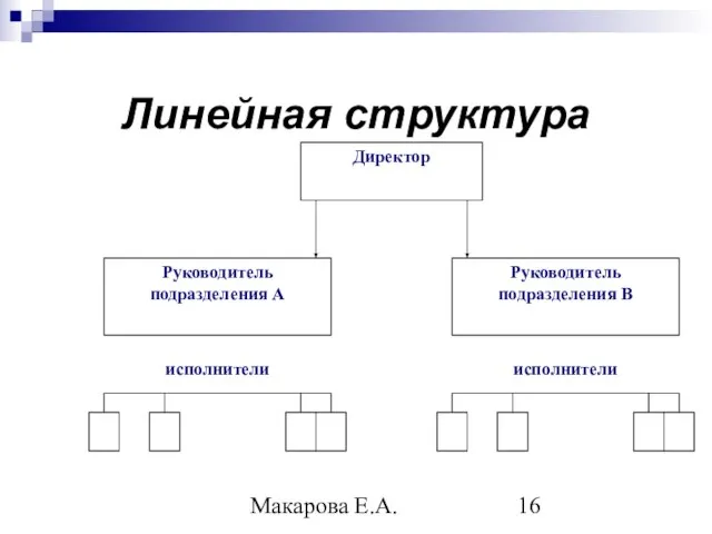 Макарова Е.А. Линейная структура