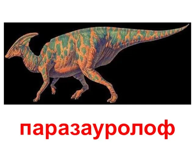паразауролоф Паразауролоф