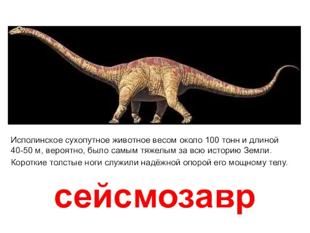 сейсмозавр Исполинское сухопутное животное весом около 100 тонн и длиной 40-50