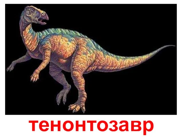 тенонтозавр Тенонтозавр