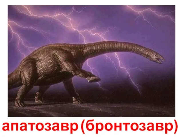 апатозавр (бронтозавр) Апатозавр (бронтозавр)