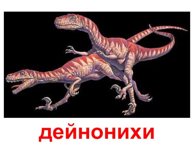 дейнонихи Дейнонихи