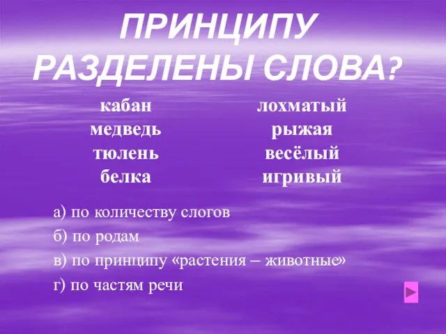 ПО КАКОМУ ПРИНЦИПУ РАЗДЕЛЕНЫ СЛОВА? кабан медведь тюлень белка лохматый рыжая