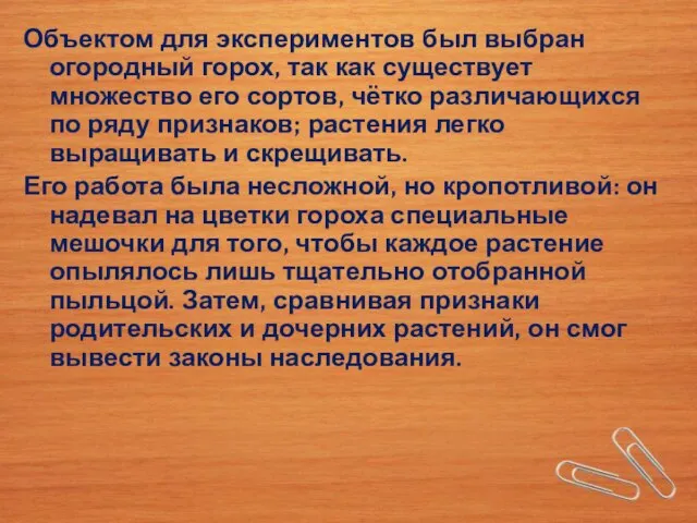 Объектом для экспериментов был выбран огородный горох, так как существует множество