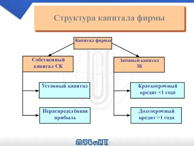 Структура капитала фирмы Капитал фирмы