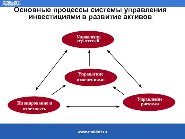 Основные процессы системы управления инвестициями в развитие активов Управление стратегией