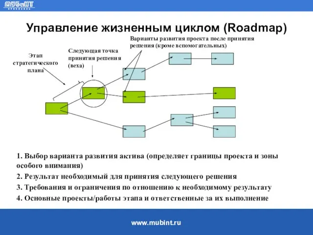 Управление жизненным циклом (Roadmap) Варианты развития проекта после принятия решения (кроме