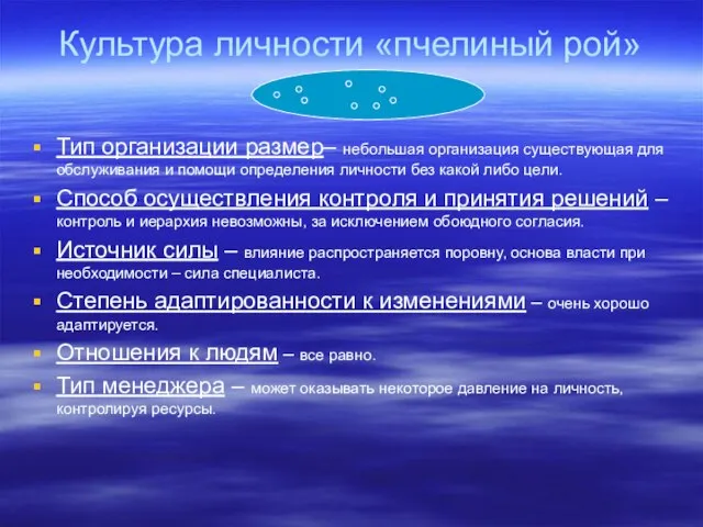 Культура личности «пчелиный рой» Тип организации размер– небольшая организация существующая для