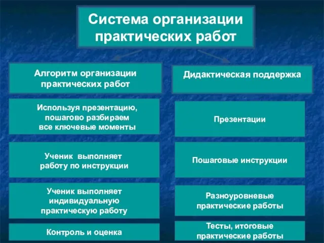 Система организации практических работ Дидактическая поддержка Ученик выполняет индивидуальную практическую работу