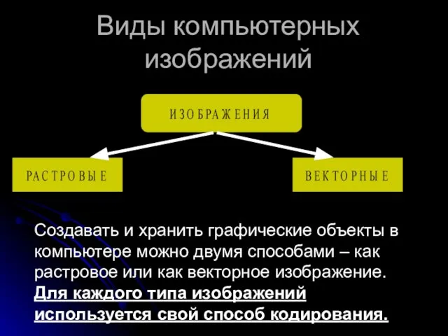 Виды компьютерных изображений Создавать и хранить графические объекты в компьютере можно