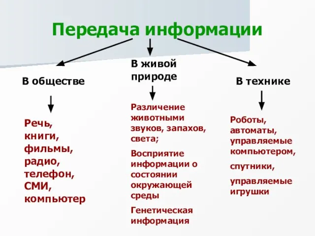 Передача информации В обществе Речь, книги, фильмы, радио, телефон, СМИ, компьютер