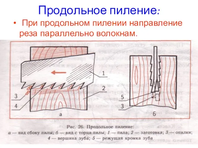 Продольное пиление: При продольном пилении направление реза параллельно волокнам.