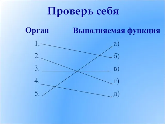 Орган 1. 2. 3. 4. 5. Выполняемая функция а) б) в) г) д) Проверь себя