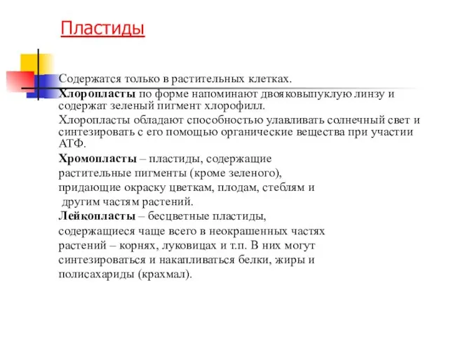 Пластиды Содержатся только в растительных клетках. Хлоропласты по форме напоминают двояковыпуклую