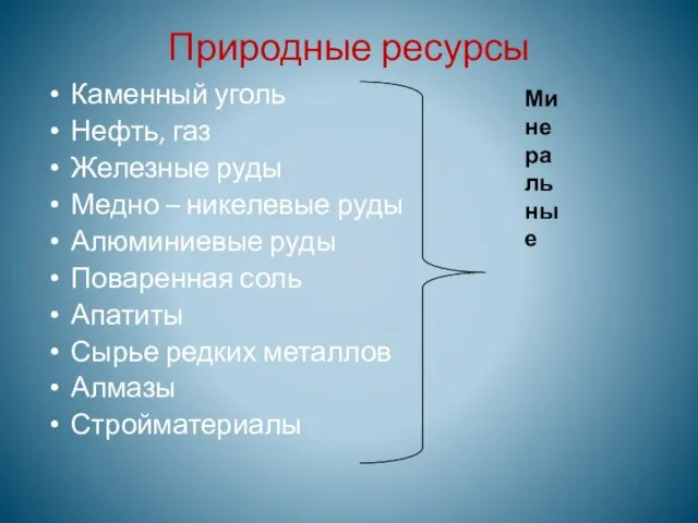 Природные ресурсы Каменный уголь Нефть, газ Железные руды Медно – никелевые