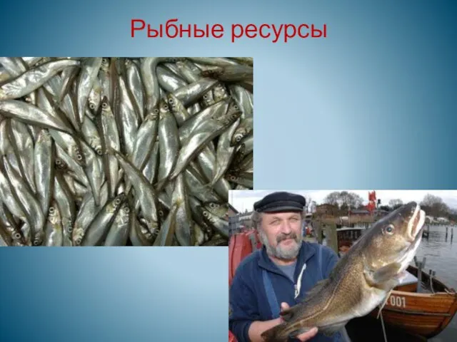 Рыбные ресурсы