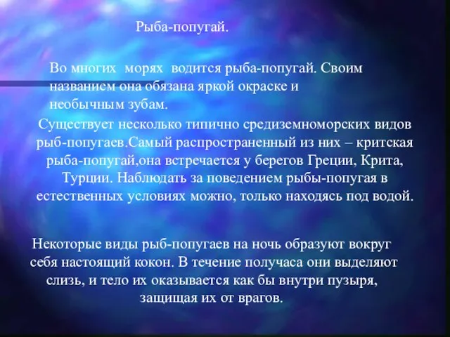 Рыба-попугай. Существует несколько типично средиземноморских видов рыб-попугаев.Самый распространенный из них –