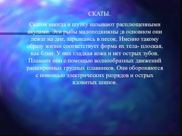 СКАТЫ. Скатов иногда в шутку называют расплющенными акулами. Эти рыбы малоподвижны