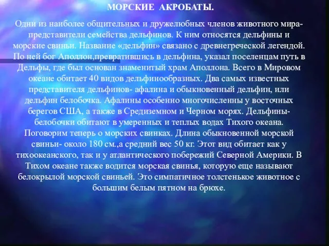 МОРСКИЕ АКРОБАТЫ. Одни из наиболее общительных и дружелюбных членов животного мира-