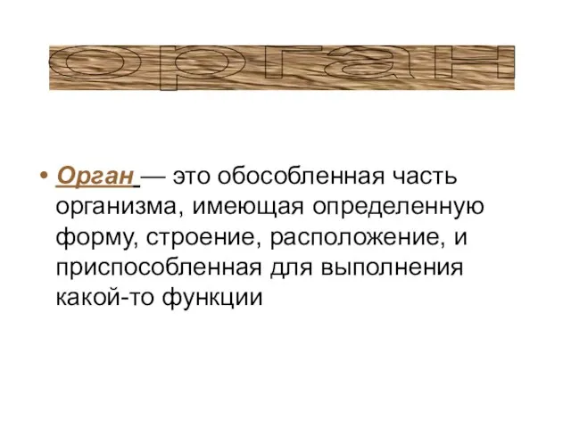 Орган — это обособленная часть организма, имеющая определенную форму, строение, расположение,