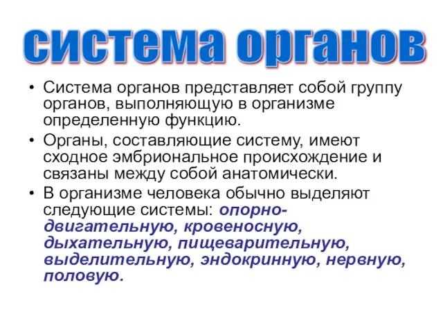 Система органов представляет собой группу органов, выполняющую в организме определенную функцию.